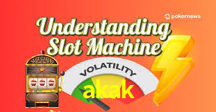 Programa VIP akak